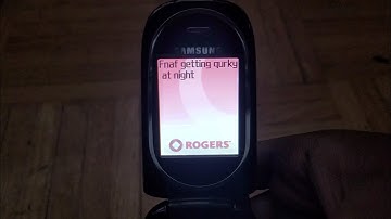 Samsung SGH-P207 Startup And Shutdown (Mystic Variant)