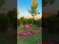 وضمت فؤادي وقالت بدمع بدون موسيقى