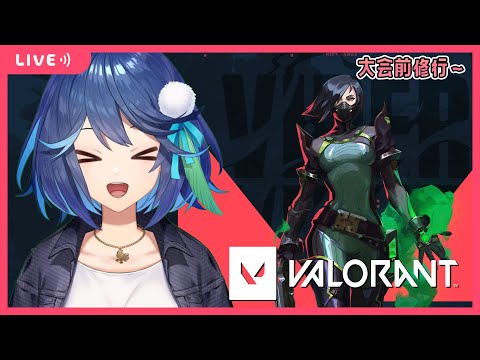 【VALORANT】  練習あるのみだ～　#2【風見鶏かな】