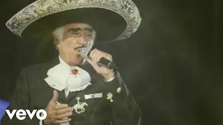 Vicente Fernández - Que Te Vaya Bonito ((Cover Audio La Leyenda Viviente) (Video)) chords