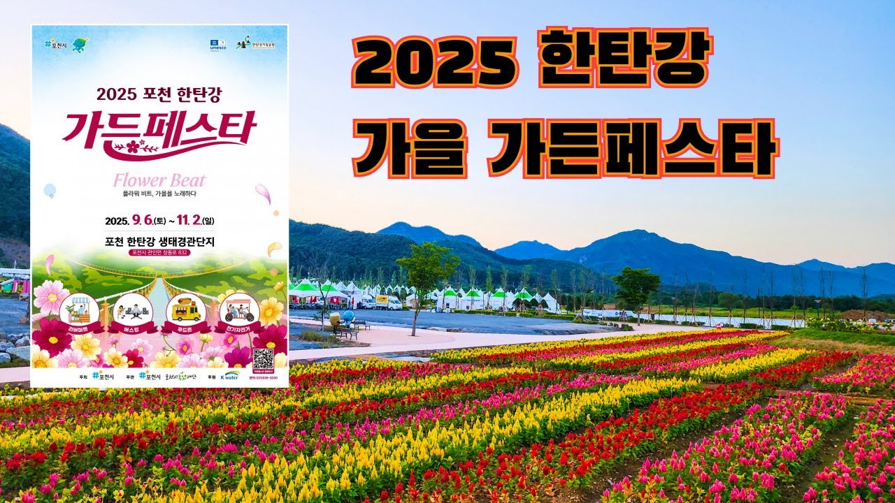 [4K]포천가볼만한곳 가을의 낭만 2025 포천 한탄강가든페스타