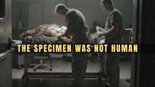 Doctor Stationed in Alaska Ordered to Autopsy 'Classified Specimen'—His Notes Mentioned Bigfoot
