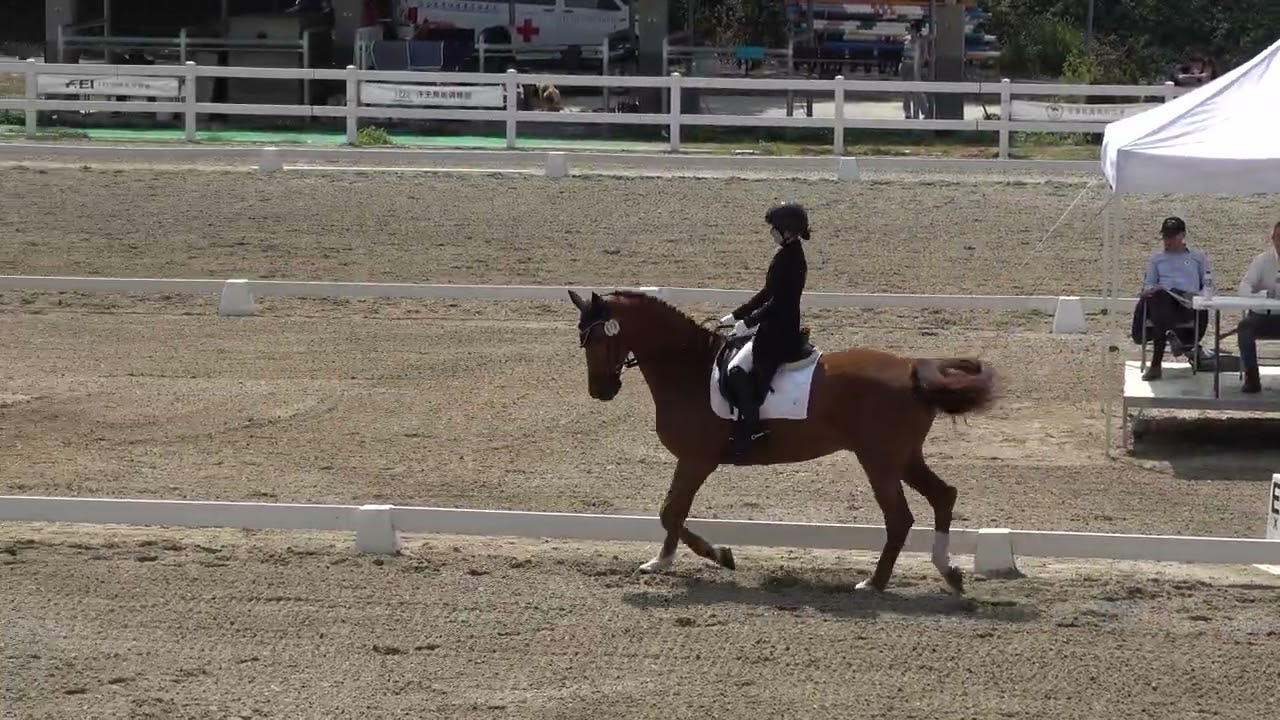 114學年度全國中等學校馬術錦標賽(馬場馬術) 高中組 Senior II 洪宥薰