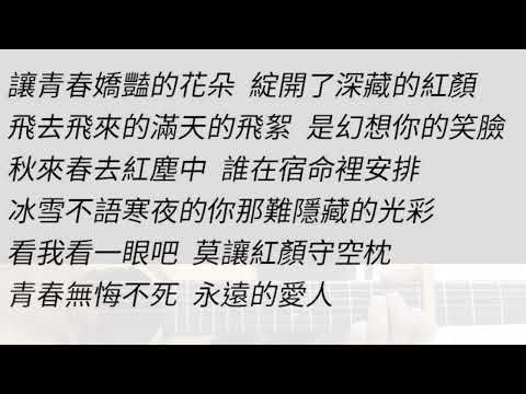 追夢人 - 鳳飛飛 吉他伴奏