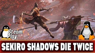 Sekiro Shadows Die Twice  | Linux Gaming | Ubuntu 18.04 | Steam Play