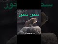 أسد يكول سحور مضحك