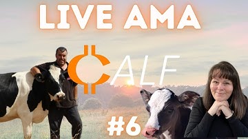 CAUSE FOR THE CALVES - LIVE AMA #6