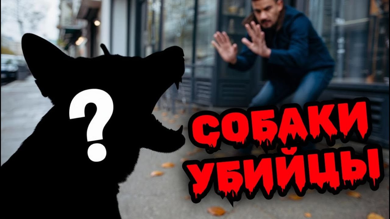 5 самых опасных пород собак — никогда не заводите этих псов!