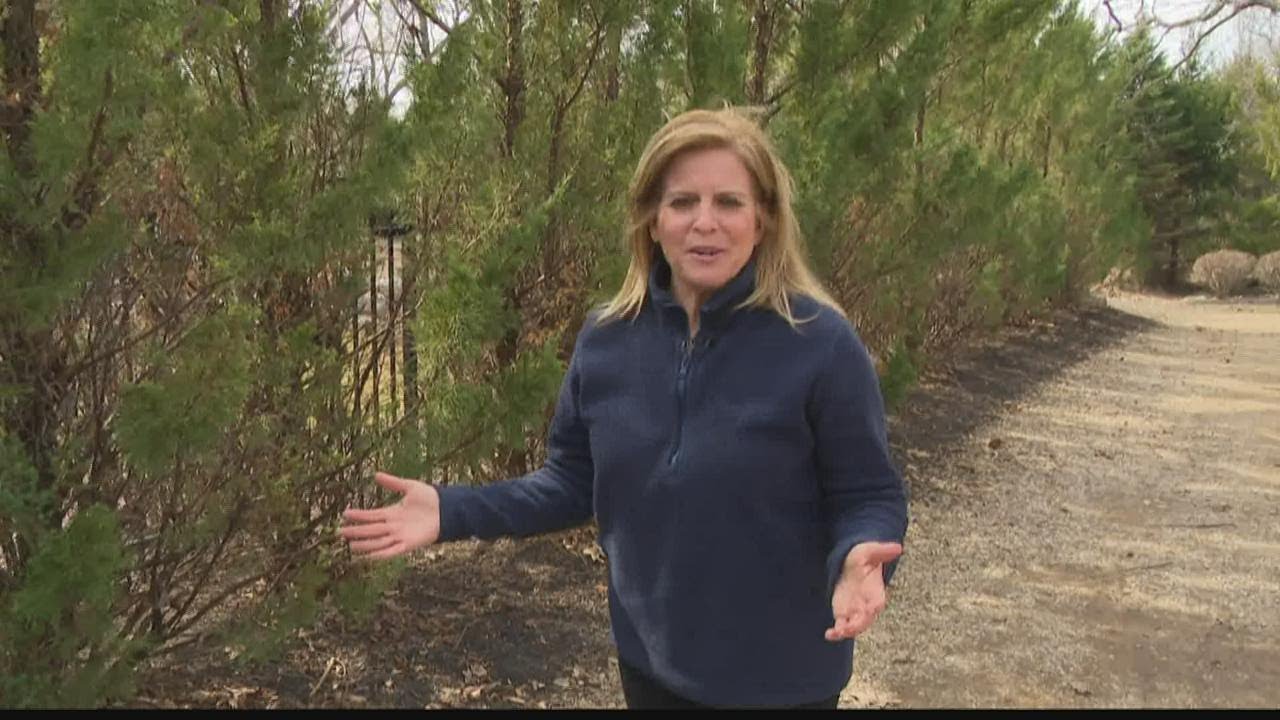 Fit Friday: Getting outside