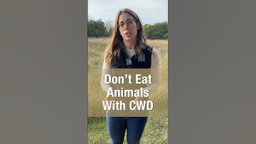 What to know about Chronic Wasting Disease