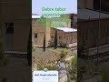 Debre Tabor university in Ethiopia look like this partly #amazing #ethiopianuniversity #dtu #google