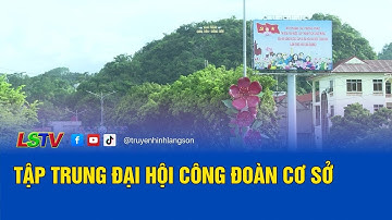 Tập trung Đại hội Công đoàn cơ sở | Lao động và Công đoàn 7/11/2025 | LSTV