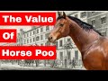 The Value of Horse Poo | The History of Horses in American Cities