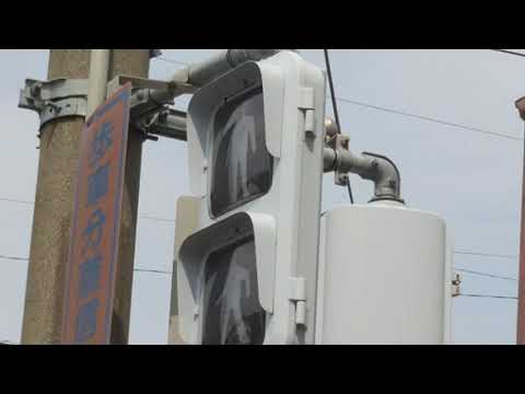 福岡県大牟田市 笹林町交差点 歩車分離信号 鳥混合