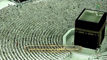 صلاة الفجر للشيخ ياسر الدوسري تلاوة إبداعية لاواخر سورة القصص. 18شوال. 1443.يوم الخميس