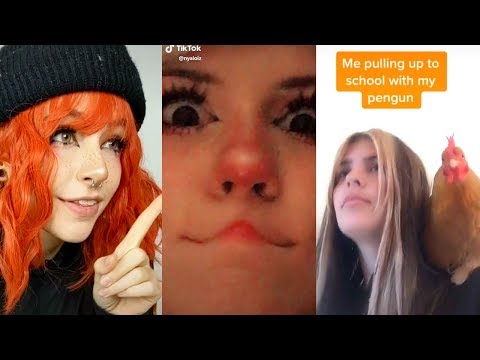 an-actually-funny-tiktok-meme-compilation-(-͡°-͜ʖ-͡°)