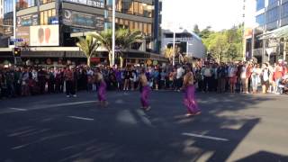 Auckland City Diwali Festival 2013
