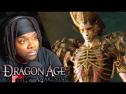 THE WENDING WOODS HAS A SECRET... | Dragon Age: Awakening - Part 3