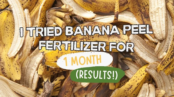 I Tried Banana Peel Fertilizer for 1 Month (Results!)