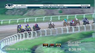 Vidéo de la course PMU PREMIO SEA PEARL 2012 (ALTERNATIVA)