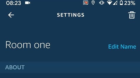 How to rename your smart light using Alexa app or your echo dot