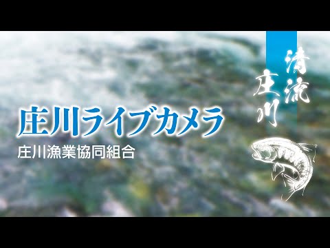 庄川(庄川漁業協同組合) のライブ映像