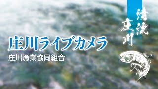 庄川(庄川漁業協同組合) のライブ映像