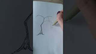 Celebrity Weeping willow trees are so magical #howtodraw #youcandraw #drawingtutorial #howtodrawatree Net Worth
