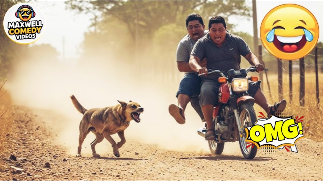 100 Best Funniest Videos of 2026 😂 | Try Not To Laugh Challenge – Part 1