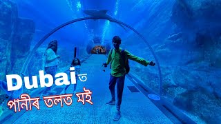 পানীৰ তলত  Underwater Aquarium and Dubai Fountain