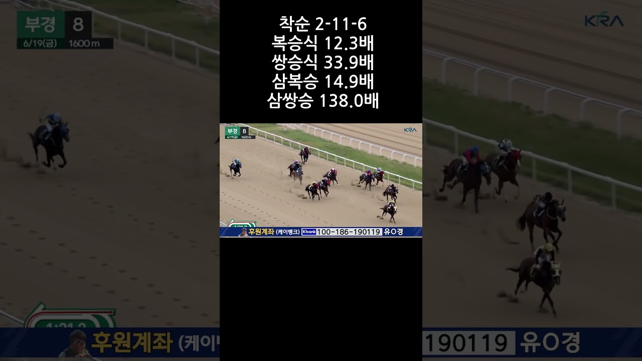 6월19일 부산 8경주