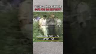 백양산 영상