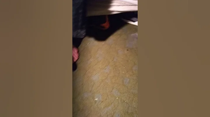 February 26, 2018