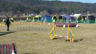 20170128むぎAG2
