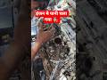 पानी मे जाने से engine damage ho gya #hyundaitechnical #shorts #youtubeshorts #shortsfeed #auto