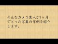 カメラ初心者がα6400でとった写真を紹介します。（高倍率ズームレンズキットSEL18135を使用）