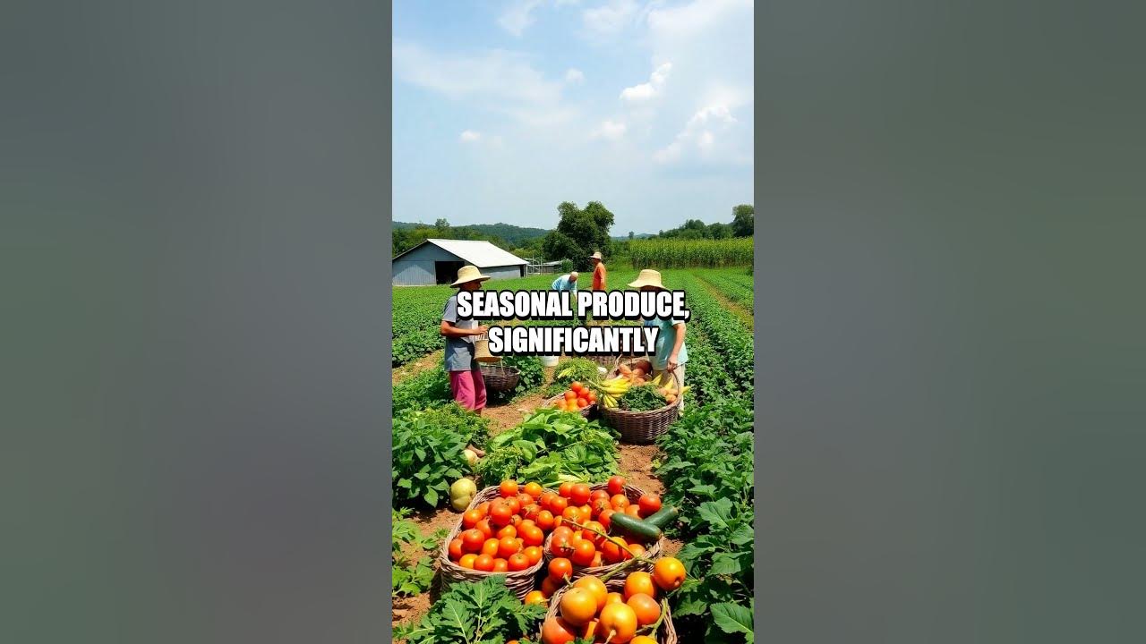 Sustainable Dining FarmtoTable Revolution YouTube