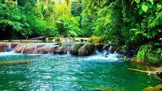 🔴 Deep Forest River Ambience with Natural Water Sounds, Relaxing Forest River, No Music. #292