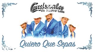 Cardenales De Nuevo León - Quiero Que Sepas (Visualizer)