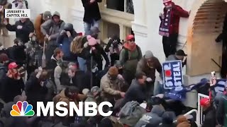 DC Police Officer Relives January 6 Attack | Morning Joe | MSNBC