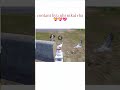 funny gaming video #trandingshorts #viralshortsfeed