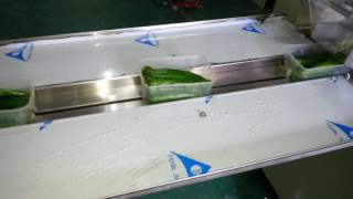 KT 450D pepper vegetable packaging machine