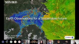 Famous CDI Data Viz Webinar: Earth Observations for a Sustainable Future w/ Africa Flores-Anderson Wealth