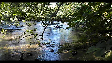 Relax 1 Hour of Natural Sound - Calm water's River -  Birds HD