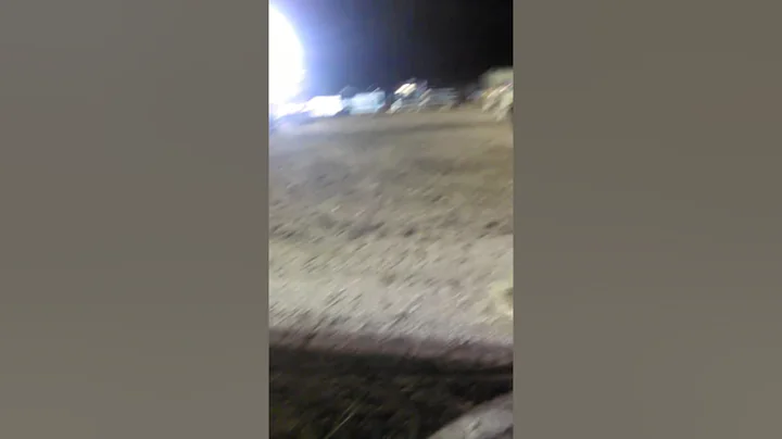 Rodeo bulls