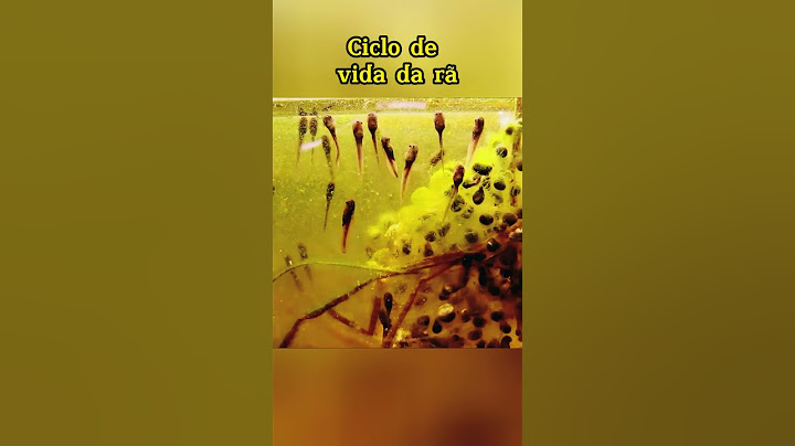 Ciclo de vida da rã