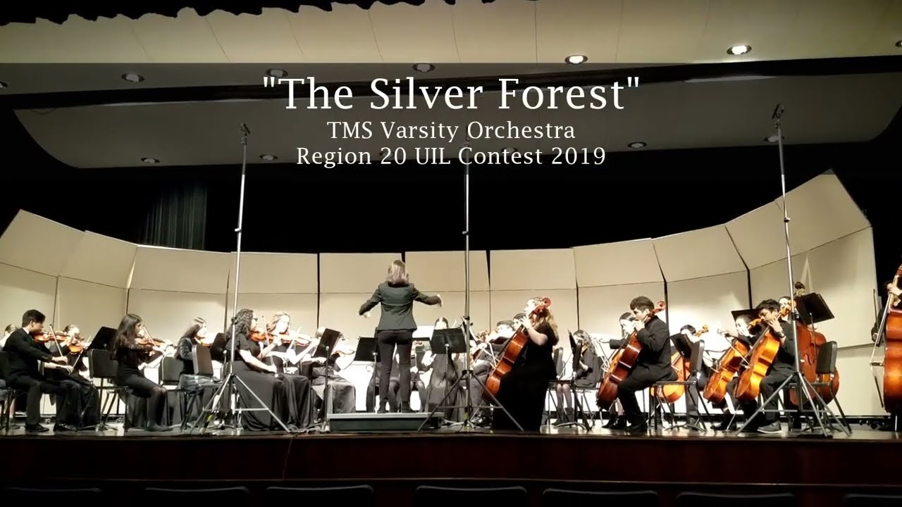 "The Silver Forest" performed by TMS Varsity Orchestra at Region 20 UIL Contest