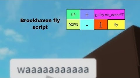 ROBLOX FLY SCRIPT TUTORIAL | ARCEUS X |
