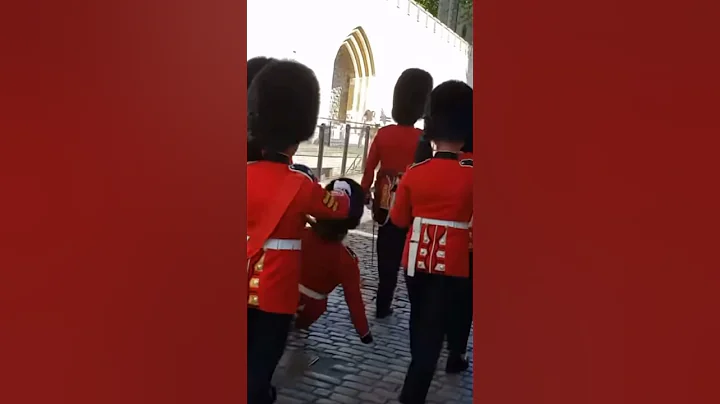 Meet the militaries of the world | funny military fails pt4