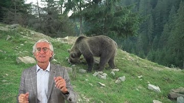 Loss Aversion with Prof. Giuseppe Conti